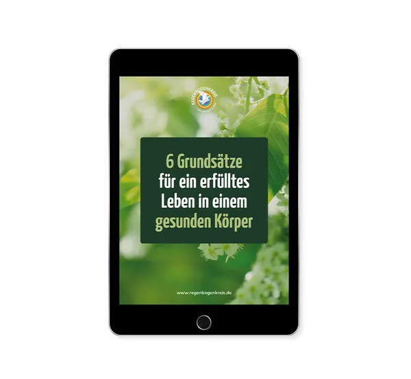 6 Grundsätze für ein erfülltes Leben (E-Book)