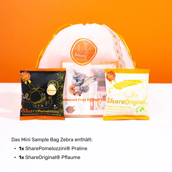 Share® Mini Zebra Bag
