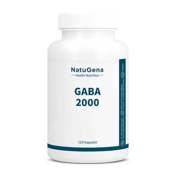 GABA 2000