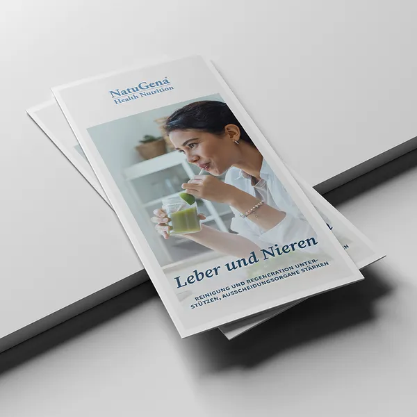 Flyer Leber und Nieren