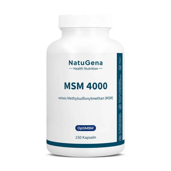 MSM 4000