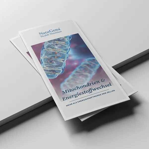 Flyer Mitochondrien & Energiestoffwechsel