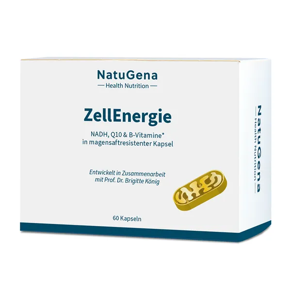 ZellEnergie
